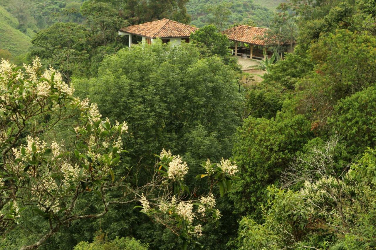 Eco Hotel El Columpio Salento Luaran gambar
