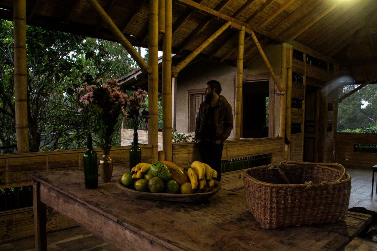 Eco Hotel El Columpio Salento Luaran gambar